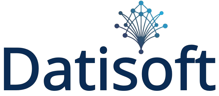 Datisoft Logo